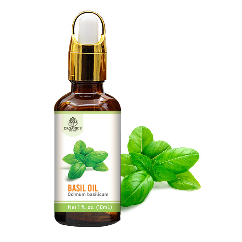 Basil Essential Oil Bottle – 100% Pure & Natural | Organic’s Living