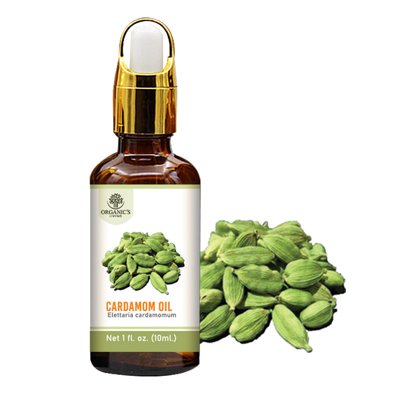 Cardamom Essential Oil Bottle – 100% Pure & Natural | Organic’s Living