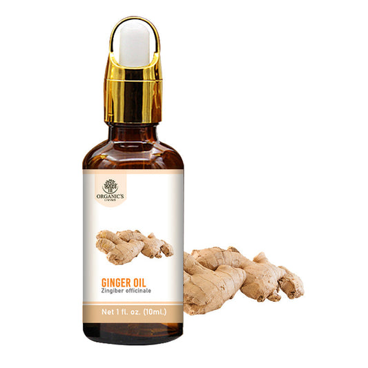 Ginger Essential Oil Bottle – 100% Pure & Natural | Organic’s Living