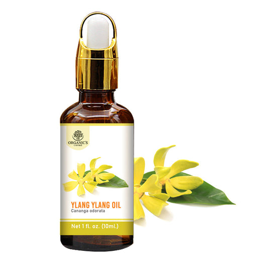 Ylang Ylang Essential Oil – 100% Pure & Natural for Skin, Hair & Aromatherapy | Organic’s Living